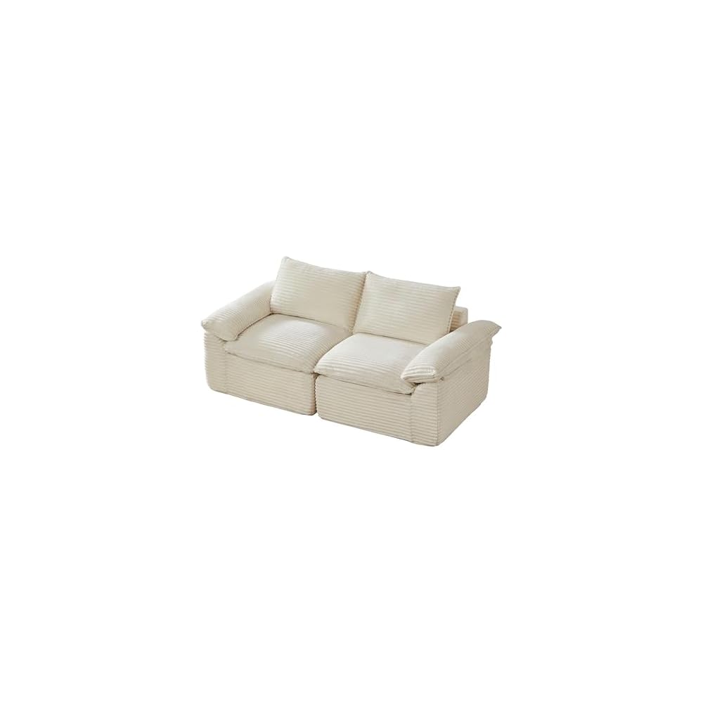 Boneless Love Seat Couches in a Box, 2 Seat Modular Foam Cloud Sofa Floor Living Room Compressed Loveseat Couch for Home Apartment