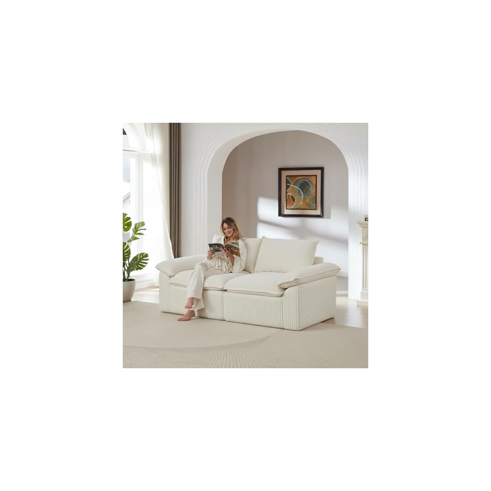 Boneless Love Seat Couches in a Box, 2 Seat Modular Foam Cloud Sofa Floor Living Room Compressed Loveseat Couch for Home Apartment