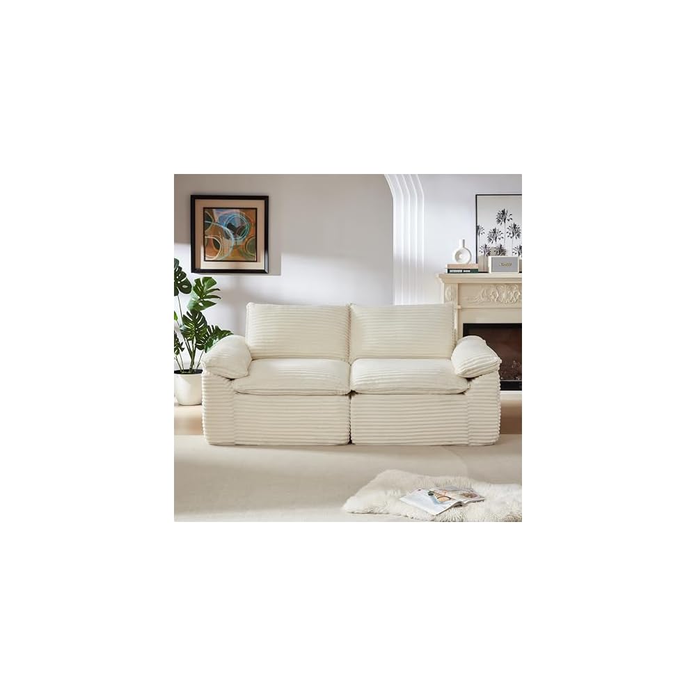 Boneless Love Seat Couches in a Box, 2 Seat Modular Foam Cloud Sofa Floor Living Room Compressed Loveseat Couch for Home Apartment