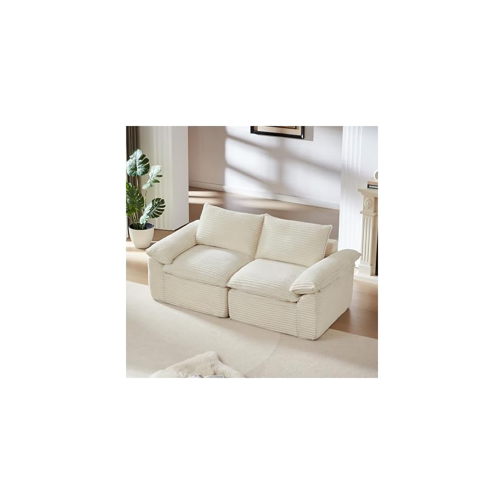 Boneless Love Seat Couches in a Box, 2 Seat Modular Foam Cloud Sofa Floor Living Room Compressed Loveseat Couch for Home Apartment